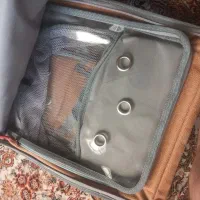 کیف سگ یاگربه