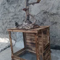 قفس چوبی واستند