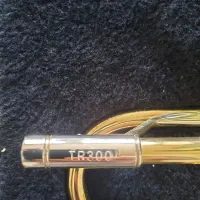 ترومپت باخ امریکا|سازهای بادی|برخوار, |دیوار