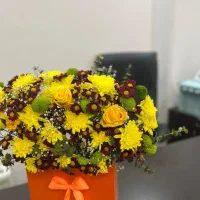 پزشک عمومی برای مطب زیبایی درمانی