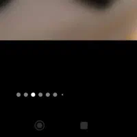 کفتر جفتگاهی