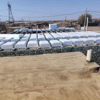 اجرای سقف و استحکام بنا|خدمات پیشه و مهارت|نیشابور, خیام|دیوار