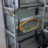 اکواریوم