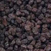 کشمش بیدانه تاکستان