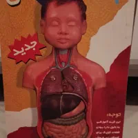 آناتومی بدن(مولاژ)