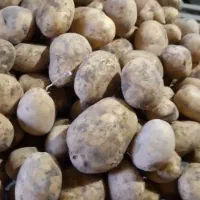 سیب زمینی جلی سوپر بار|خوردنی و آشامیدنی|دهگلان, |دیوار