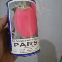 بذر گوجه پارس|گل و گیاه طبیعی|گنبد کاووس, |دیوار