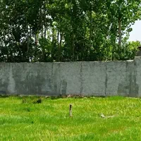 فروش زمین در شمال