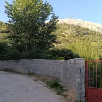 خونه باغی ساده وزیبا سردسیر برفی