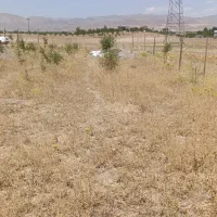 باغ-ویلایی