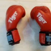 یک دست دستکش تمام چرم طبیعی بکس کاملا نو|تجهیزات ورزشی|اصفهان, جلفا|دیوار