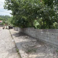 زمین ویلایی ویو ابدی جنگل و رودخونه|فروش زمین و ملک کلنگی|لوندویل, |دیوار