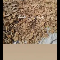 خریدار نان خشک کیلو۱۵