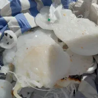 خرید فروش ضایعات پلاستیک|عمده‌فروشی|تهران, سازمان آب|دیوار