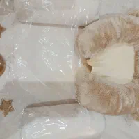 تشک طبی ضد ریفلاکس نوزاد|تشک تختخواب|اهواز, زردشت|دیوار