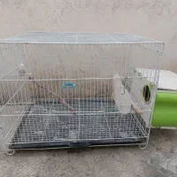 قفس پرنده
