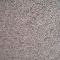 برنج گیلان|خوردنی و آشامیدنی|نجفآباد, هفده شهریور|دیوار