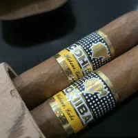 برگ کوهیبا (هابانا کوبا) COHIBA