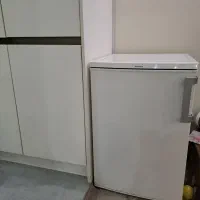 مینی فریزر بلومبرگ