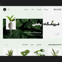 سایت حرفه‌ای، شروع مسیر موفقیتت با ویدورا|خدمات رایانه‌ای و موبایل|اهواز, کیانپارس |دیوار