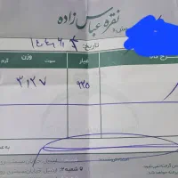گردنبند نقره|زیورآلات و اکسسوری|اردبیل, |دیوار