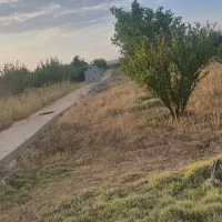 فروش باغ صنعت نفت دالین|فروش زمین و ملک کلنگی|همایجان, |دیوار