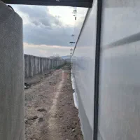 گلخانه 5800متر چهاردیواری شده|فروش دفتر صنعتی، کشاورزی، تجاری|رباط‌کریم, پیغمبر|دیوار