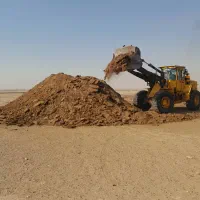 کودگوسفند|حیوانات مزرعه|اهواز, کیانشهر|دیوار
