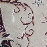 فرش ۱۲ متری|فرش|گرگان, |دیوار