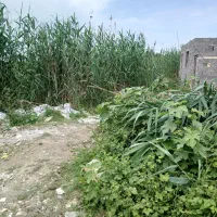 زمین مسکونی ۱۲۰ متری با شرایط اقساط|فروش زمین و ملک کلنگی|رشت, عینک|دیوار