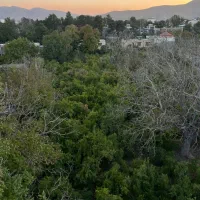 آپارتمان-310-متر-ویو-باغ-محمودیه-نیایش