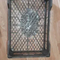 تولید و پخش ظروف پلاستیکی|ظروف نگهدارنده، پلاستیکی، یکبارمصرف|هشتگرد, تهران دشت|دیوار