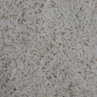 برنج هاشمی خالص|خوردنی و آشامیدنی|شفت, |دیوار