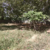 باغ-بر-خیابان-اسکو-کندوان