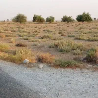 زمین چاه پیر|فروش دفتر صنعتی، کشاورزی، تجاری|اهرم, |دیوار