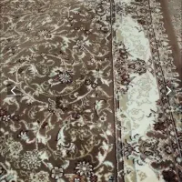 کناره وپادری|پادری|اندیشه, اندیشه فاز ۱|دیوار