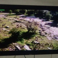 تلویزیون استارسات ۴۲ اینج مدلSR 300 HD PRO