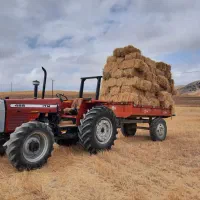 کولش و علوفه