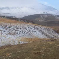 زمین|فروش زمین و ملک کلنگی|سنقر, |دیوار