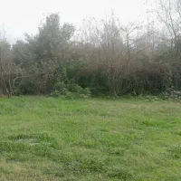 زمین  متراژ ۲۸۷متر.   داخل طرح.   بافت روستا