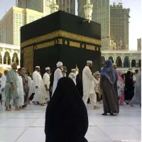 ۳عددفیش تمتع