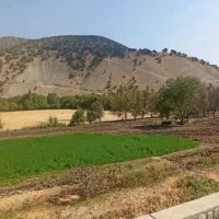 زمینی کشاورزی