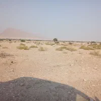 زمین کشاورزی