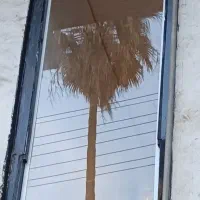 معاوضه ملک تجاری با برنج