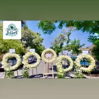 تاج گل . باکس گل . دسته گل|گل و گیاه طبیعی|شیراز, قصرالدشت|دیوار