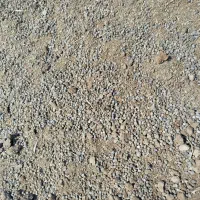 در تناژ بار درختان مرکبات تاثیر بسیار زیادی دارد|گل و گیاه طبیعی|نکا, |دیوار