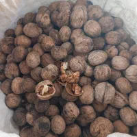 گردوکلات