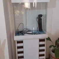 آکواریوم شرکتی شیشه خم