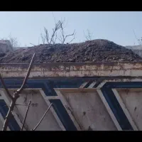 کود گاوی وگوسفندی|خدمات باغبانی و درختکاری|نظرآباد, نجم آباد|دیوار