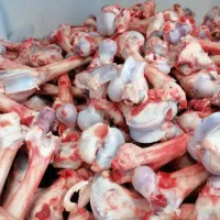 قلم بره پرمغز و تازه|خوردنی و آشامیدنی|نجفآباد, منتظری شمالی|دیوار